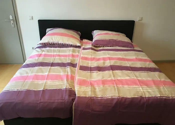 Kaiserslautern Apartment Apartamento *