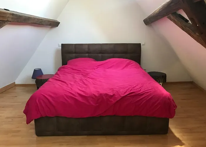 Апартаменты Kaiserslautern Apartment